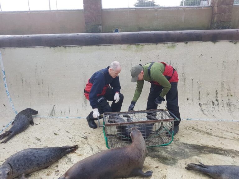 Hampshire Fire and Rescue Service at the Cornish Seal Sanctuary