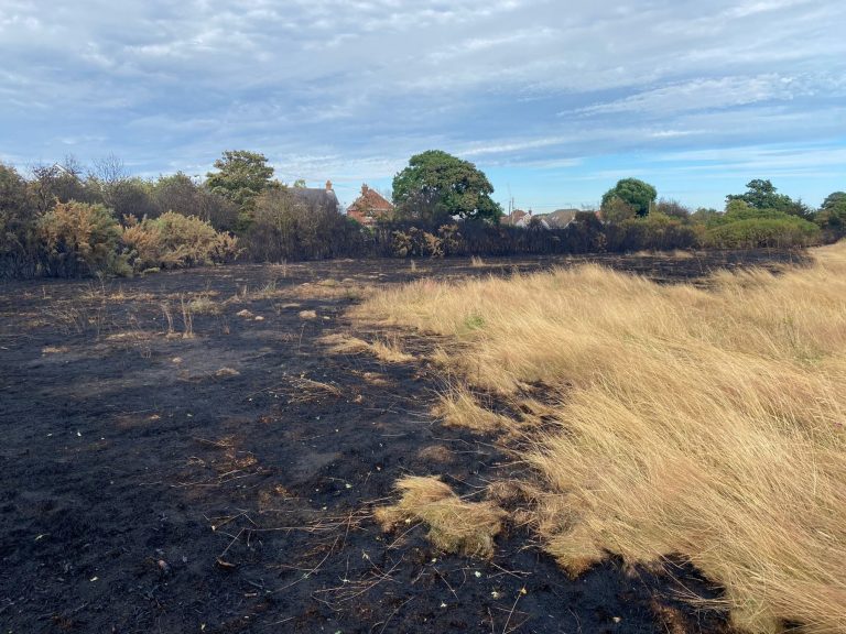 3c5c32ce 8791 4f0d b1cd ada0a5a6fe4e