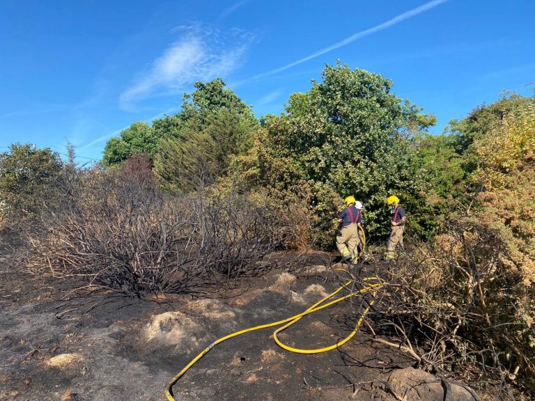 5c744a95 3c1e 4f7b 9544 832cd506bbf2