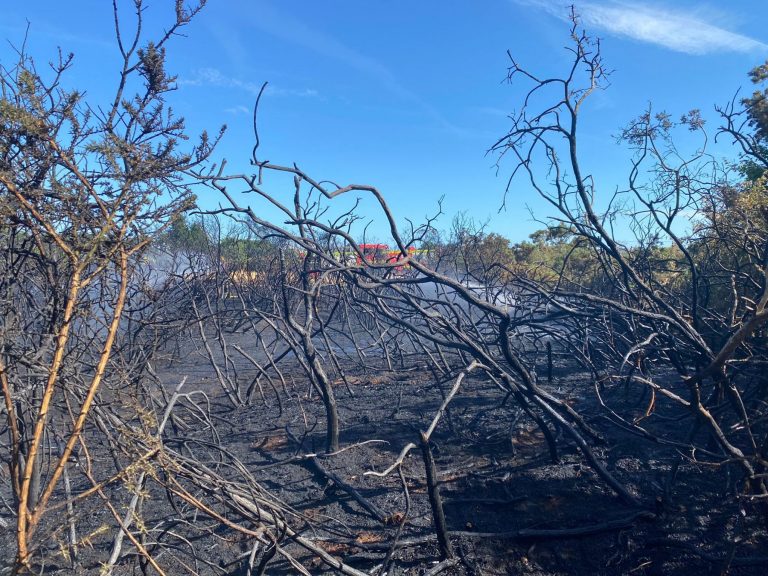 98d5d0a4 bad2 4fbe 9cae e5bb33265ed5