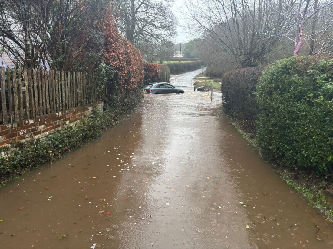 600145087 1273112641509688 8068067397502030639 n