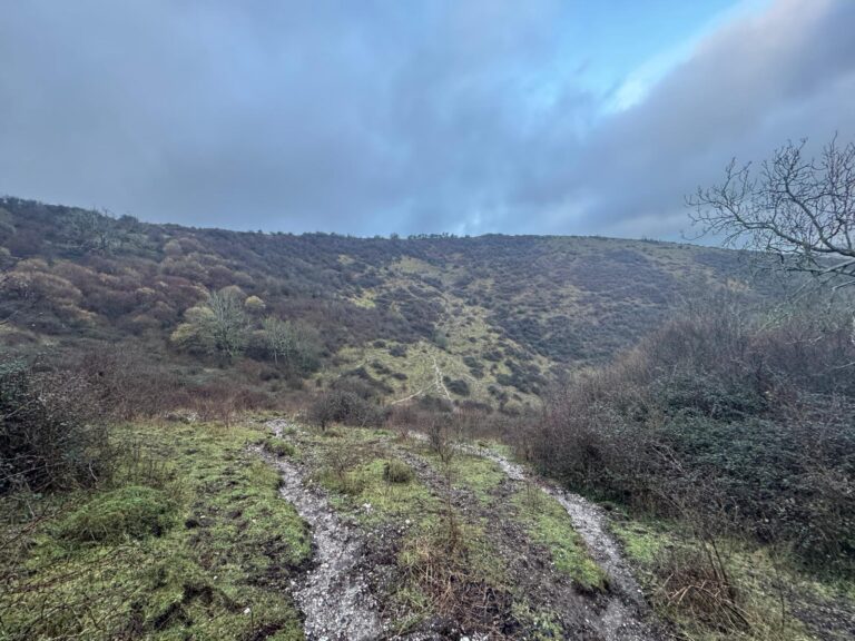 Scenic shot of Butser Hill, showing the steep and uneven terrain, and think gorse