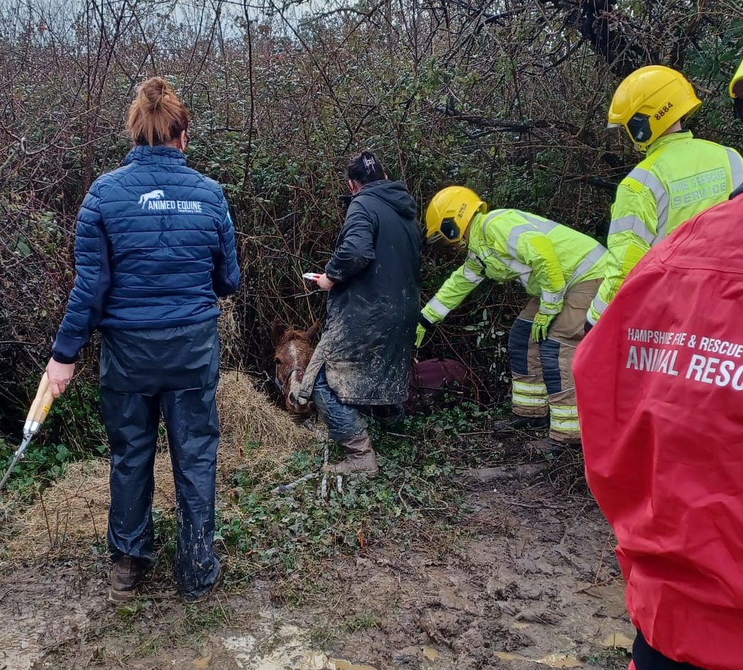 WhatsApp Image 2026 02 06 at 10.19.15