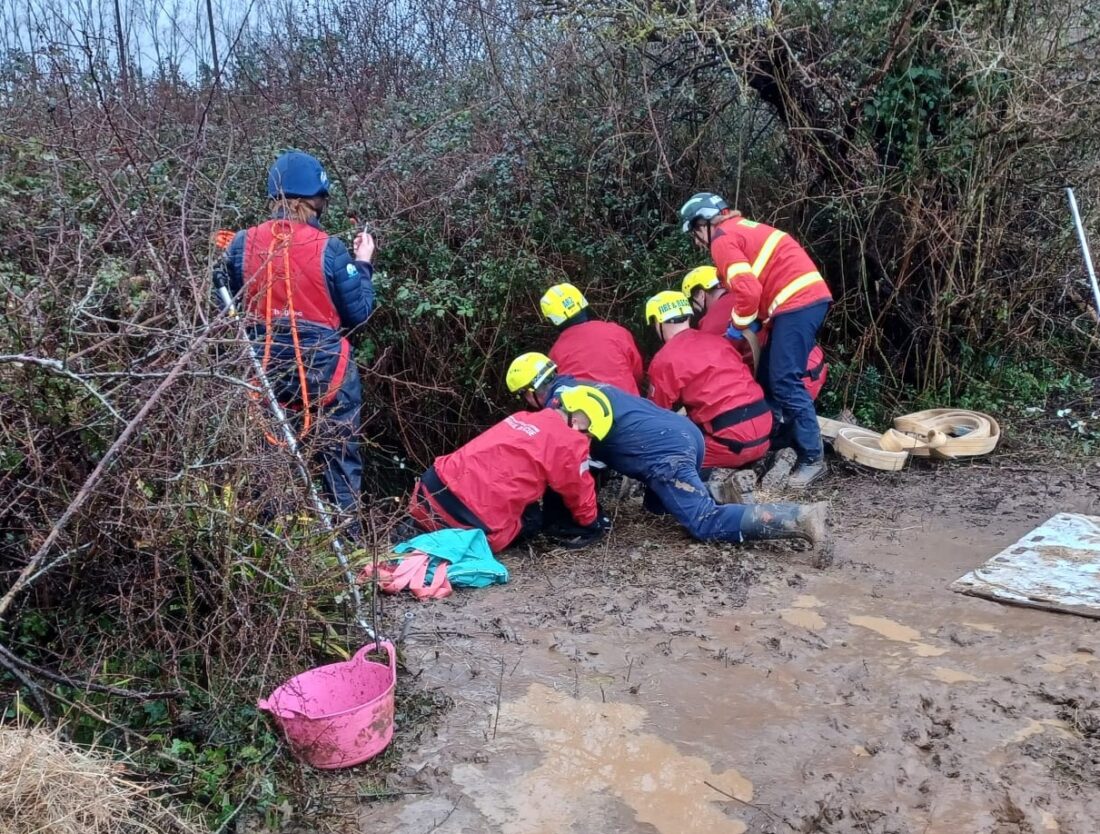 WhatsApp Image 2026 02 06 at 11.38.22