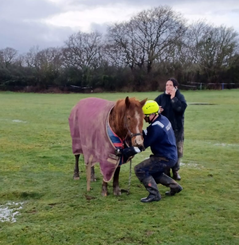 WhatsApp Image 2026 02 06 at 11.38.23