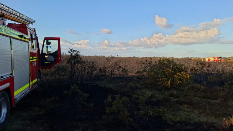 Bagshot Moor with fire engine