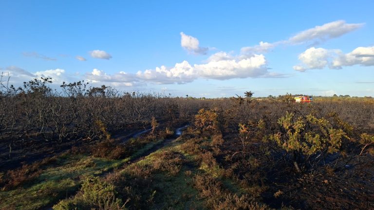 Wildfire at Bagshot Moor