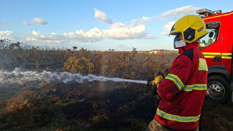 Firefighter spraying water at heathland fire