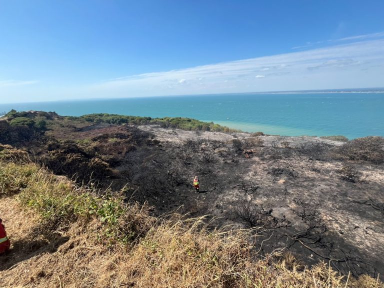 Fire damage at Headon Warren wildfire 