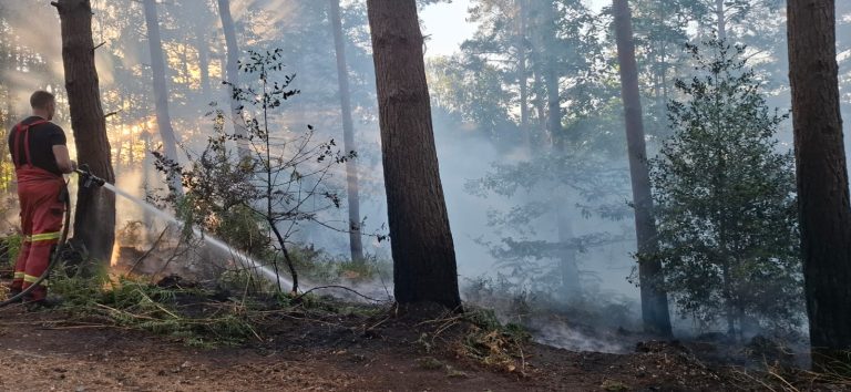 Firefighter using a hose reel jet to tackle fire in woodland at Hawley Lakes