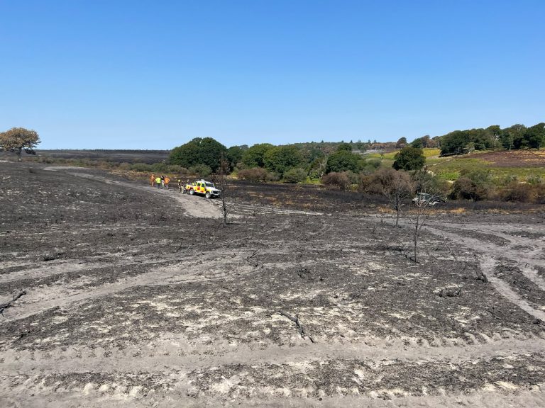 An area of the New Forest which has been damaged by the wildfire. Remnants of scorched shrubs are scattered across the sparse fire-damaged ground. In the background, a specialist wildfire 4x4 can be seen, with firefighters working behind it.
