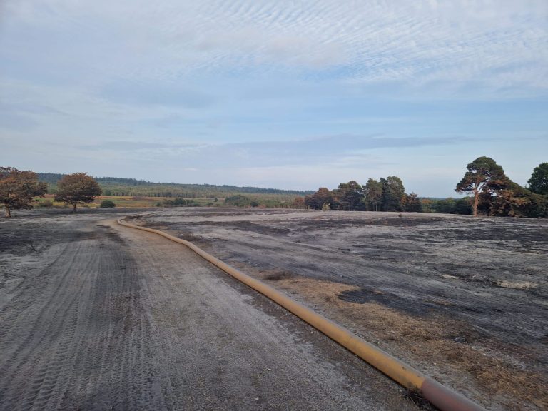 An area of the New Forest that has been decimated by wildfire. There is no plant life or wildlife left. A large hose from the high-volume pump can be seen running along the ground, delivering water to the incident site.