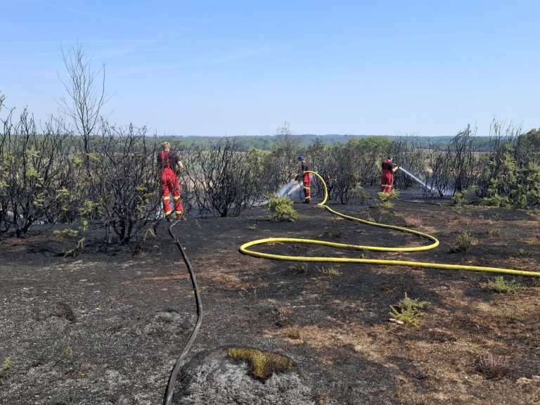 Three firefighters in bright red PPE aim water at the ground. Charred shrubs can be seen amongst the burned land.