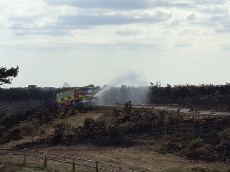 A photo of the New Forest landscape, with a fire engine in the distance spraying water onto the ground.