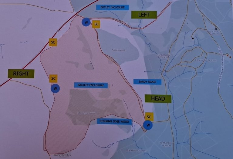 The fire ground extends from the A31 south, encompassing Backley Enclosure, down to Soarley Beeches and Stirking Edge Wood, across to Bratley Wood and Sandy Ridge. Please avoid this area.